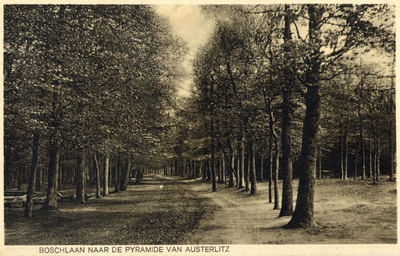 17857 Gezicht op een bosweg nabij de Pyramide van Austerlitz te Austerlitz.N.B. Dit gedeelte van Austerlitz maakt deel ...